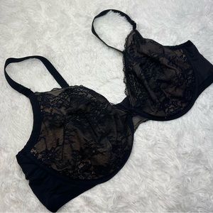 Torrid • Black lace t-shirt style bra • 50D
